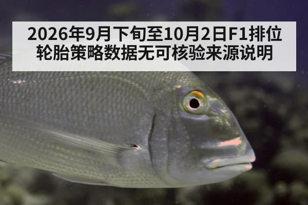 2026年9月下旬至10月2日F1排位轮胎策略数据无可核验来源说明