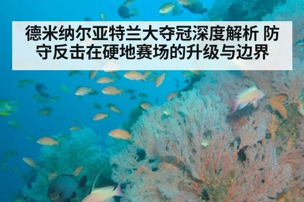 德米纳尔亚特兰大夺冠深度解析 防守反击在硬地赛场的升级与边界